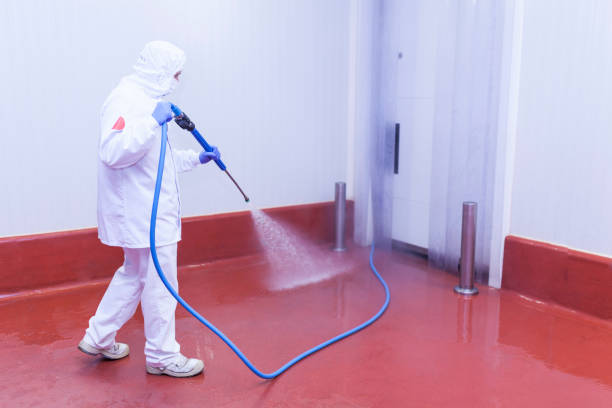 Best Patio and Deck Pressure Washing  in Crothersville, IN